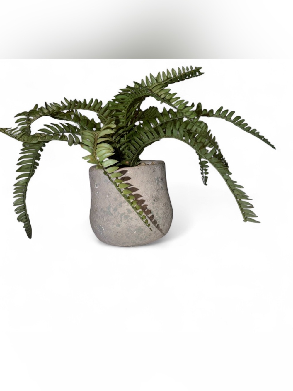 Faux Green Artificial Fern in Rustic Gray Planter - Home Accents